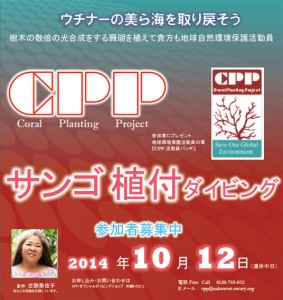 cpp_img6